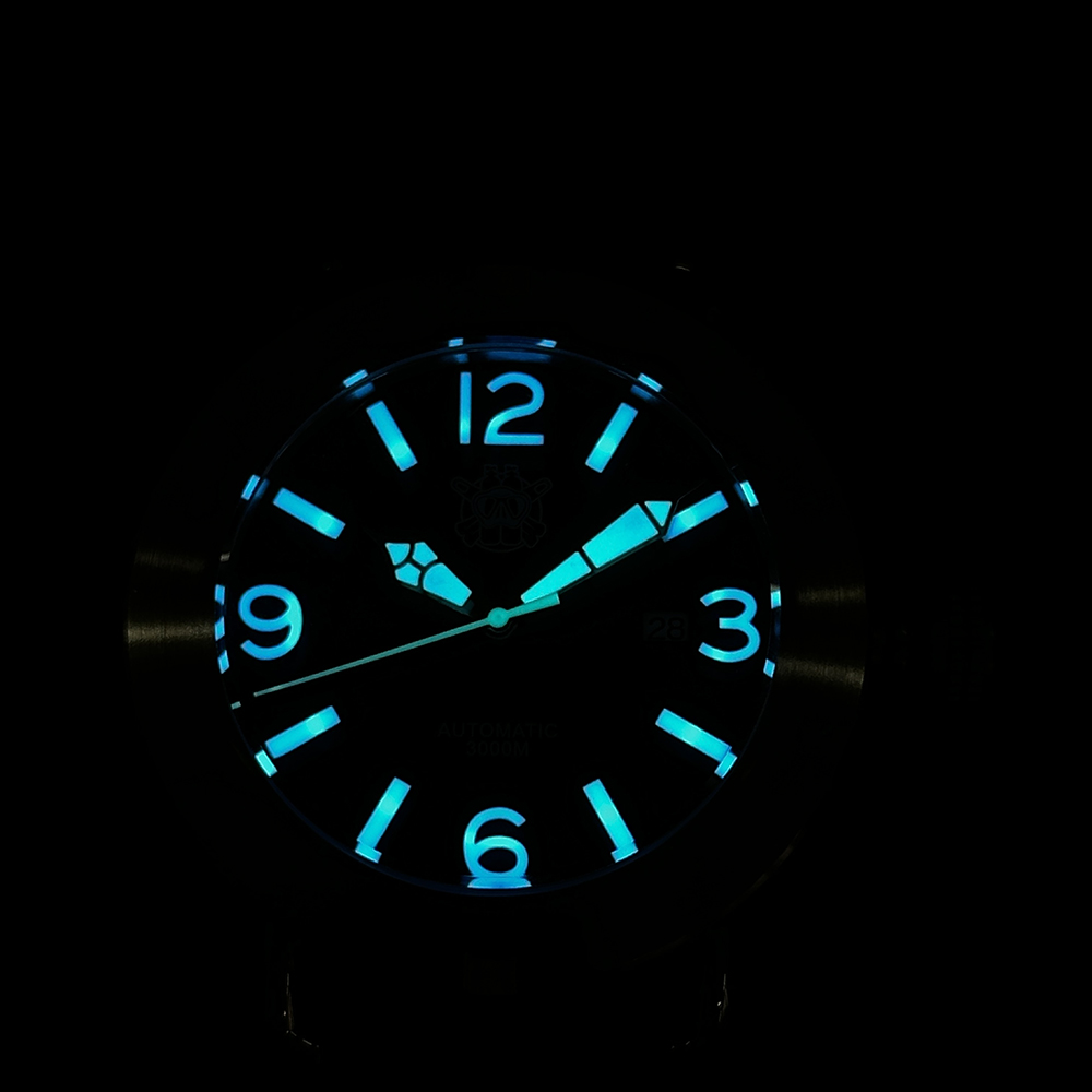 Steeldive 2025 Watch SD1912 Ov - огляд і ціна Seiko Watch Prospex